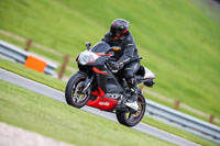 PJ-Motorsport-2019;donington-no-limits-trackday;donington-park-photographs;donington-trackday-photographs;no-limits-trackdays;peter-wileman-photography;trackday-digital-images;trackday-photos